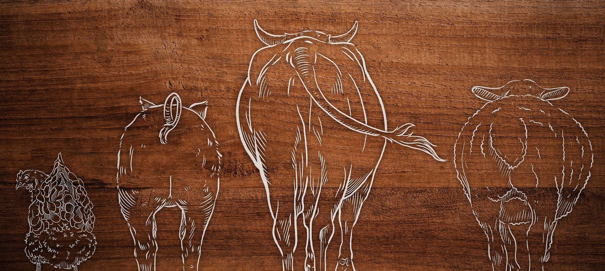 line drawn backsides of a chicken, pig, bull, and sheep