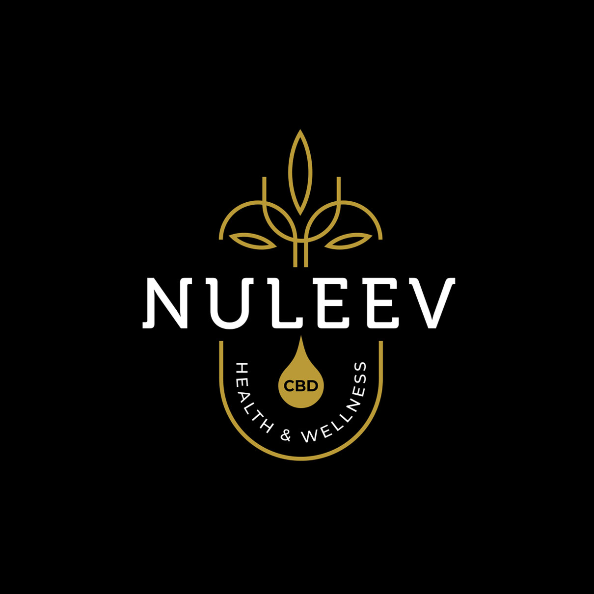Nuleev logo brand mark