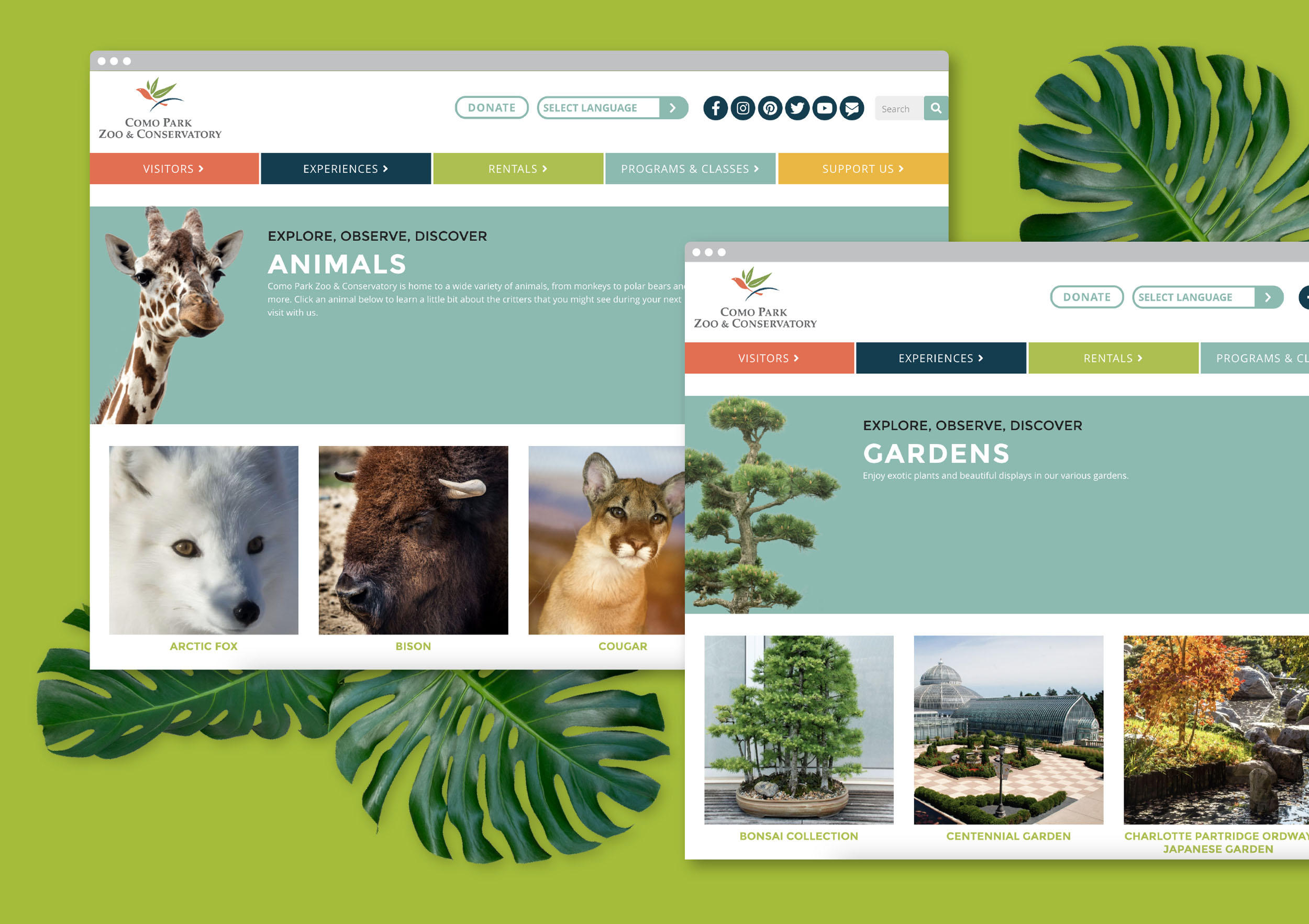two desktop browser windows display animal and garden pages of responsive website design