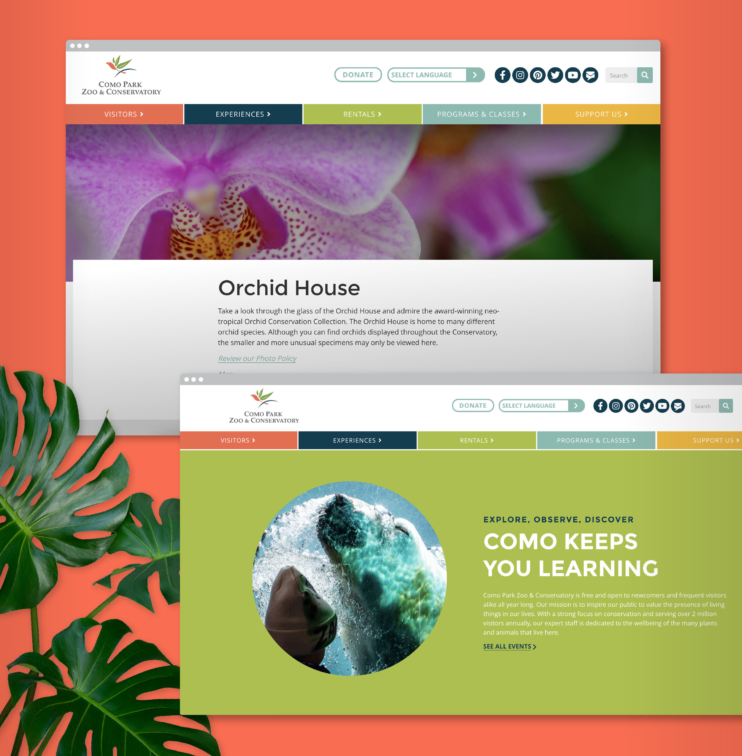 two browser windows display orchid house and como keeps you learning web pages for Como Zoo website redesign