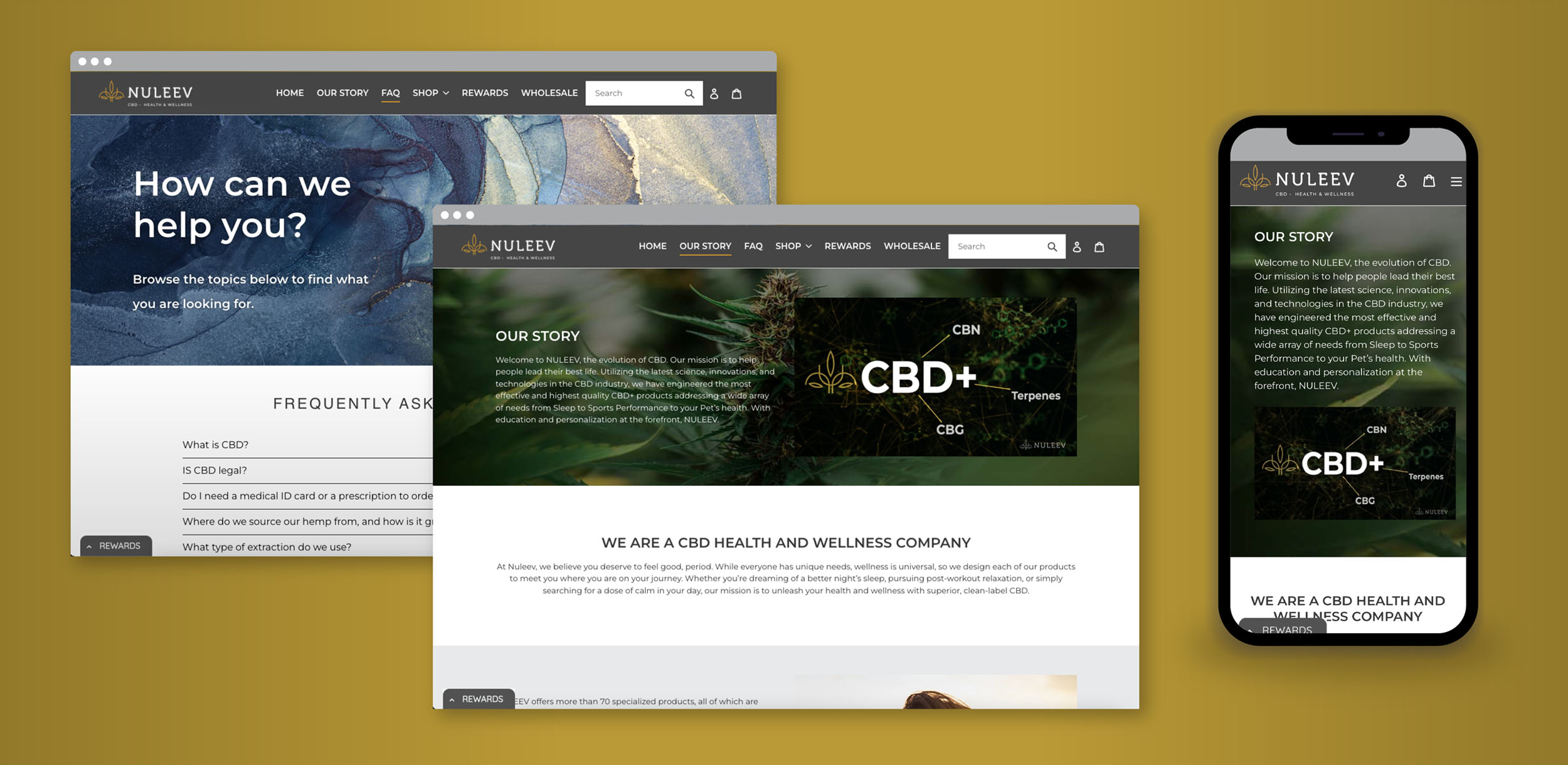 desktop browsers and mobile device display pages of a responsive website design